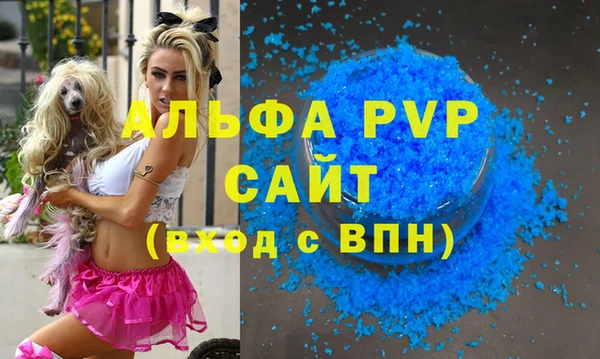 PSILOCYBIN Козельск