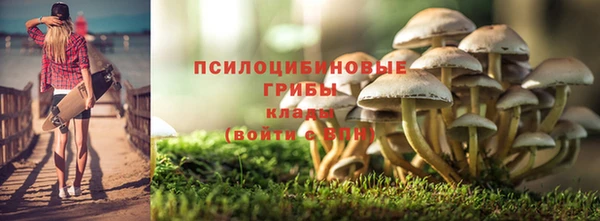 2c-b Нязепетровск