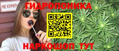 дурь Берёзовский