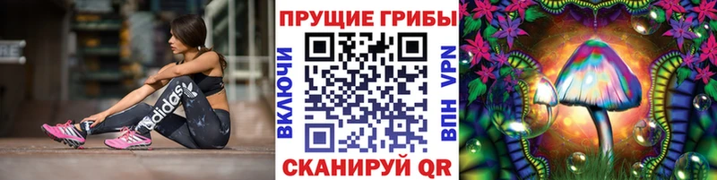 Галлюциногенные грибы GOLDEN TEACHER Богданович