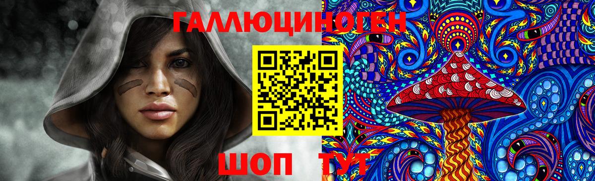 как найти закладки  Богданович  Галлюциногенные грибы MAGIC MUSHROOMS 