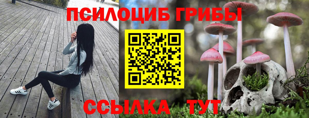 Галлюциногенные грибы GOLDEN TEACHER Богданович