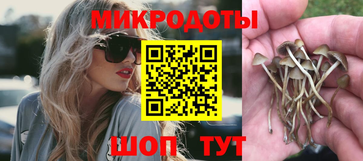 Галлюциногенные грибы Magic Shrooms Богданович